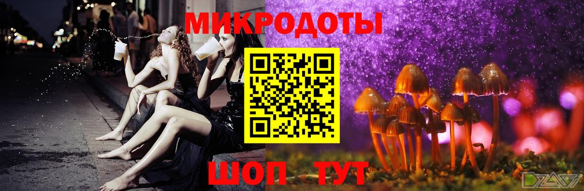 Галлюциногенные грибы Cubensis Каменск-Шахтинский