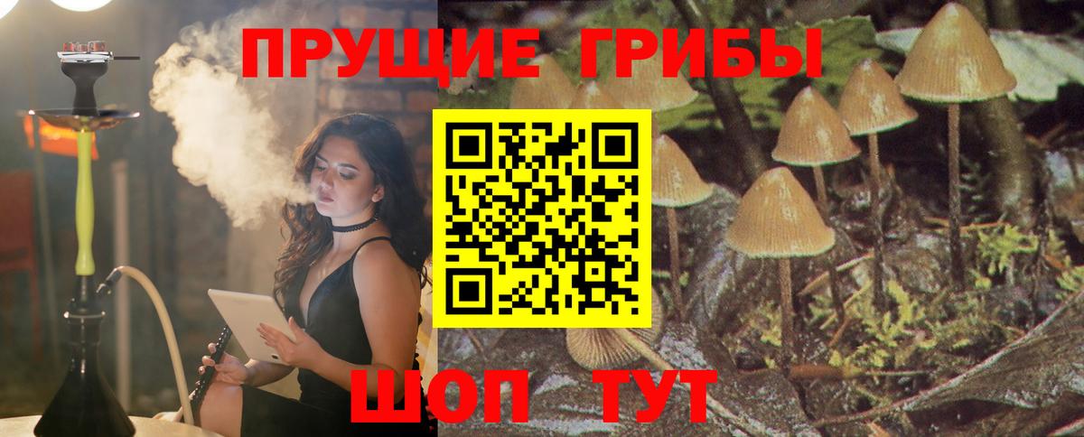 Галлюциногенные грибы Psilocybine cubensis  Псилоцибиновые грибы Psilocybine cubensis  Каменск-Шахтинский  Вход с VPN 
